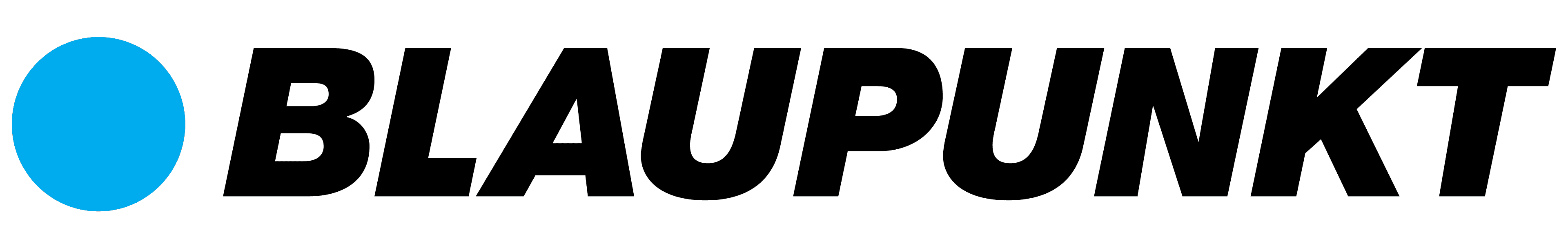Blaupunkt