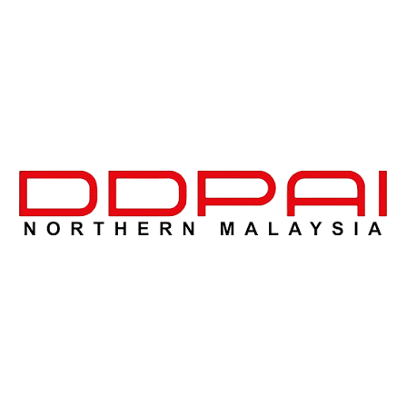 DDpai